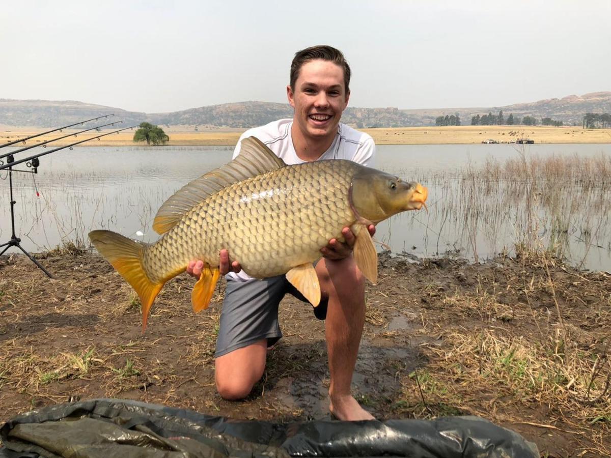 Hotel Imla Guest Farm Ficksburg Zewnętrze zdjęcie